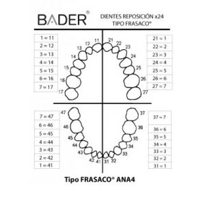 dientes-reposicion-tipo-ana4-de-bader3