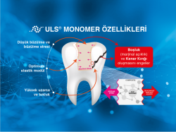 uls-monomer-199d9